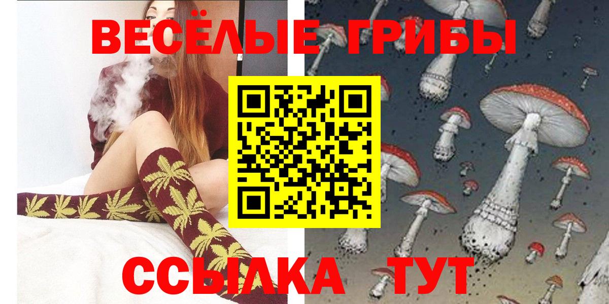 Галлюциногенные грибы Psilocybine cubensis Семёнов