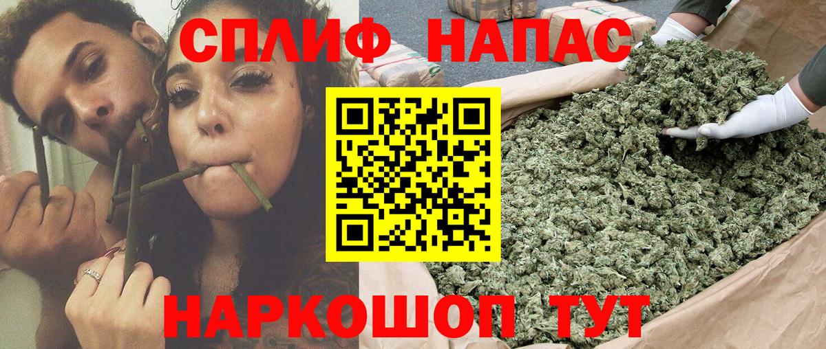 Конопля ГИДРОПОН Семёнов